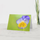 Carte Pansement contre le cancer (Devant)