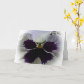 Carte Pansement pourpre et blanc (Fleur jaune)