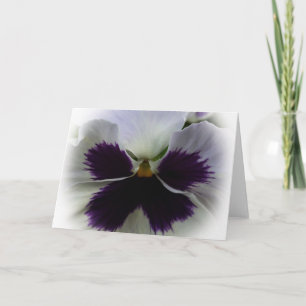 Carte Pansement pourpre et blanc