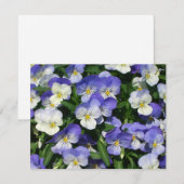 Carte Pansies violettes Jardin Floral (Devant / Derrière)