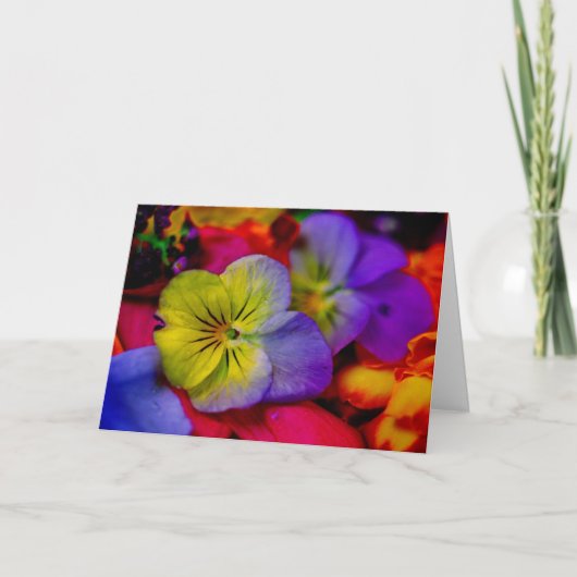 CARTE PANSY (Devant)