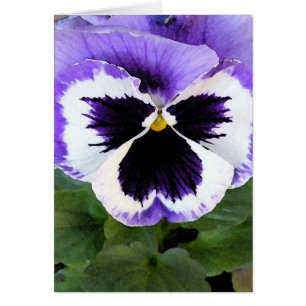 carte - Pansy bleu, blanc et violet