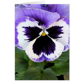 carte - Pansy bleu, blanc et violet