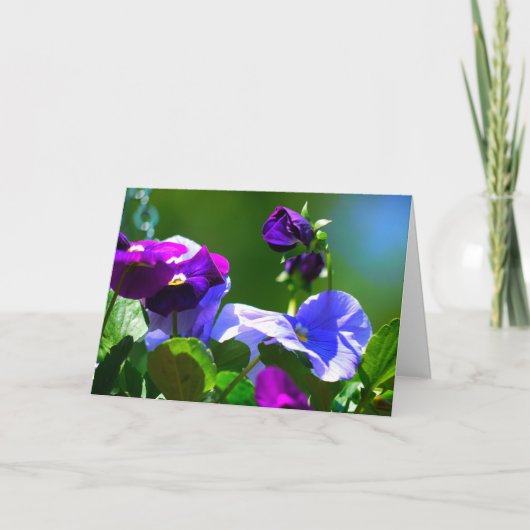 CARTE PANSY CARD-N'IMPORTE QUELLE OCCASION (Devant)