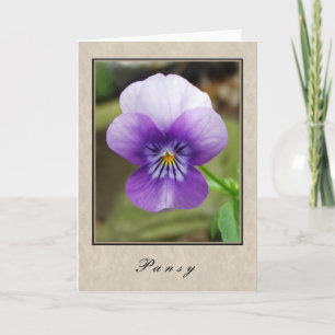 Carte Pansy - Floral Series