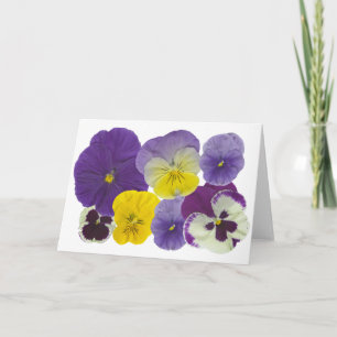 Carte pansy flowers