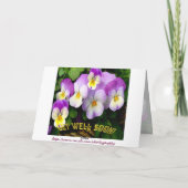 Carte Pansy ~ Get Well Card (Dos)