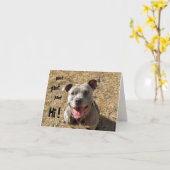 Carte Panting Pitbull (Fleur jaune)