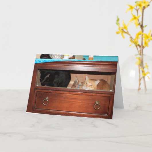 Carte Panty Raid (Fleur jaune)