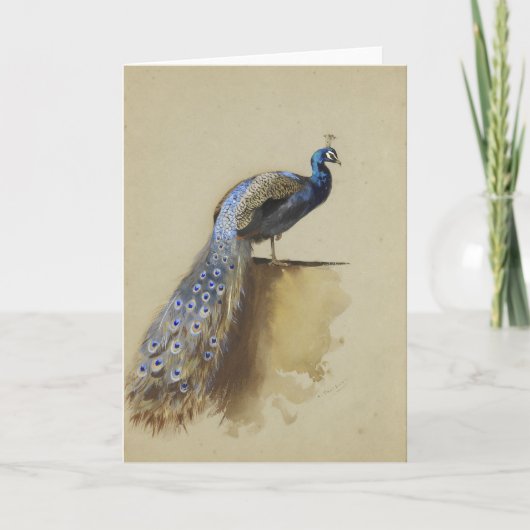 Carte Paon | Archibald Thorburn (Devant)
