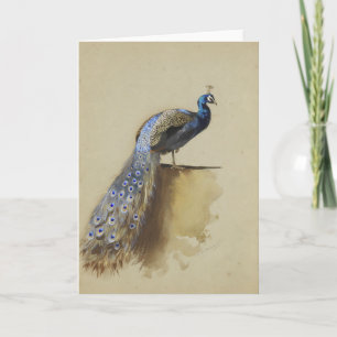 Carte Paon   Archibald Thorburn