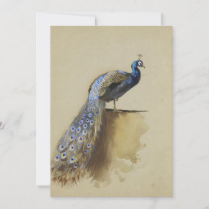 Carte Paon Archibald Thorburn