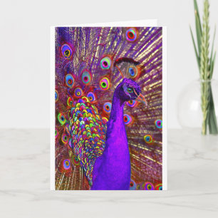 Carte Paon de million de couleurs