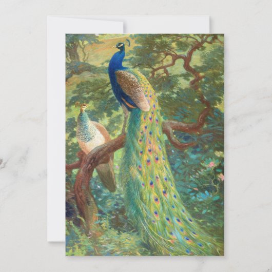 Carte Paon indien | Charles Robert Knight (Devant)