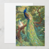 Carte Paon indien | Charles Robert Knight (Devant / Derrière)