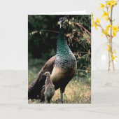 Carte Paons (Fleur jaune)