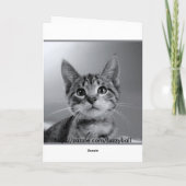 Carte Papa, Amène un Anniversaire Meow ! (Dos)