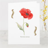 Carte Papaver rhoeas  (Fleur jaune)