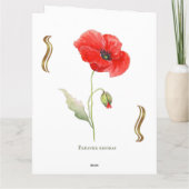 Carte Papaver rhoeas  (Dos)
