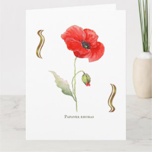 Carte Papaver rhoeas 