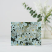 Carte Paperwhite Narcissus Fleurs blanches délicates (Debout devant)