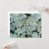 Carte Paperwhite Narcissus Fleurs blanches délicates (Devant/Arrière en situation)