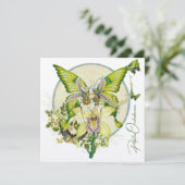 Carte Papilio Orchidaceae (Debout devant)