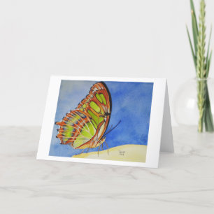 Carte Papillon