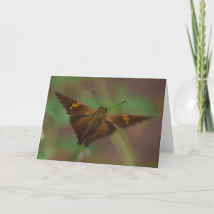 Carte Papillon