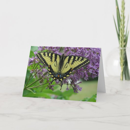Carte Papillon (Devant)