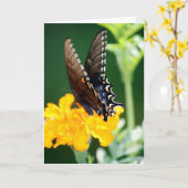 Carte Papillon (Fleur jaune)