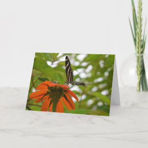 Carte Papillon