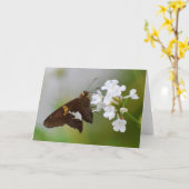 Carte Papillon (Fleur jaune)