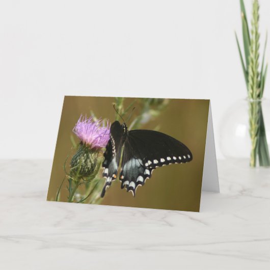 Carte Papillon (Devant)