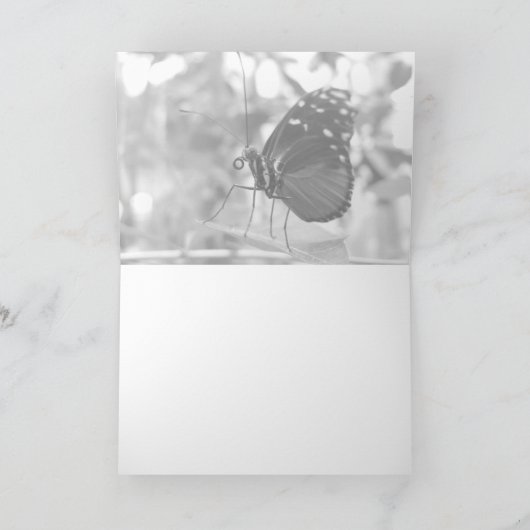 Carte Papillon #1 (Intérieur)