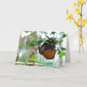 Carte Papillon #1 (Fleur jaune)