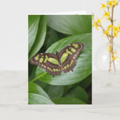 Carte Papillon 2 d'Olbrich (Fleur jaune)