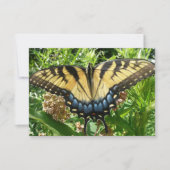 Carte Papillon à queue d'aronde II à Shenandoah (Devant)
