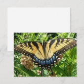 Carte Papillon à queue d'aronde II à Shenandoah (Devant / Derrière)