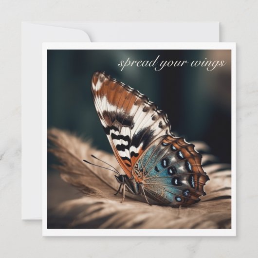 Carte Papillon assis sur une plume douce (Devant)