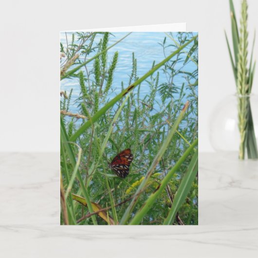 Carte Papillon au bord de la rivière (Devant)