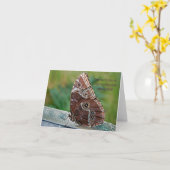 Carte Papillon avec citation (Fleur jaune)