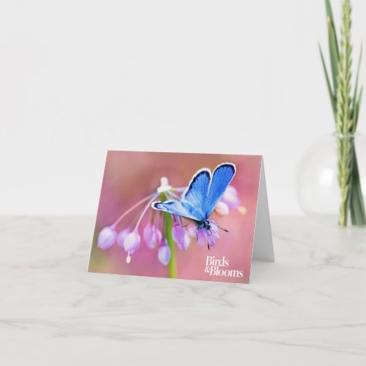 Carte Papillon azuré (Devant)