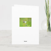 Carte Papillon blanc à veine verte (Dos)
