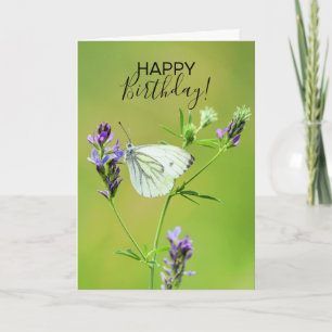 Carte Papillon blanc à veine verte