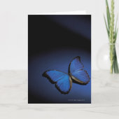 Carte Papillon bleu (Devant)