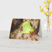 Carte Papillon bleu (Fleur jaune)