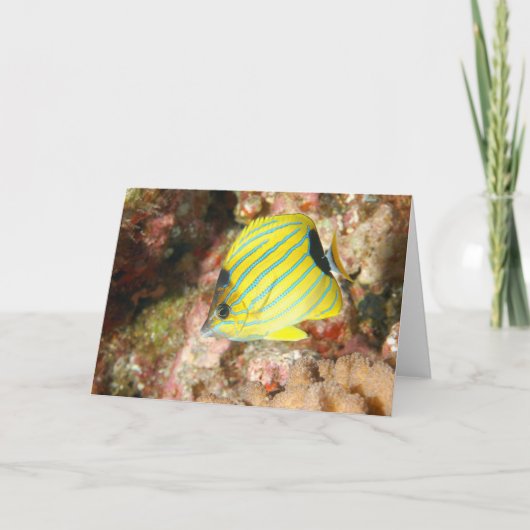 Carte Papillon bleu (Devant)