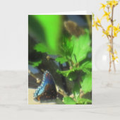 Carte Papillon bleu (Fleur jaune)