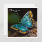 Carte papillon bleu étalant ses ailes personnalisable (Devant / Derrière)